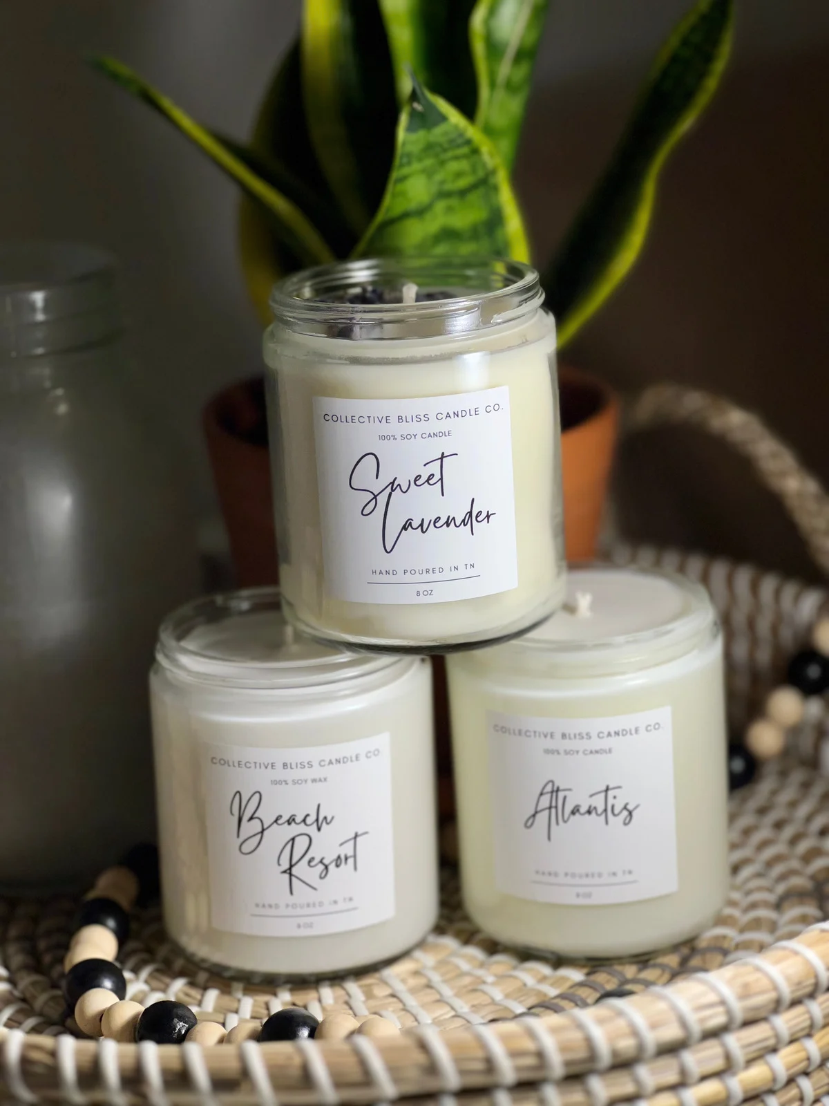 8oz Soy Candles - Spring and Summer Scents – Collective Bliss Candle Co.